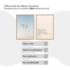 Kit Com 2 Quadros As Aves No Céu - Image 4